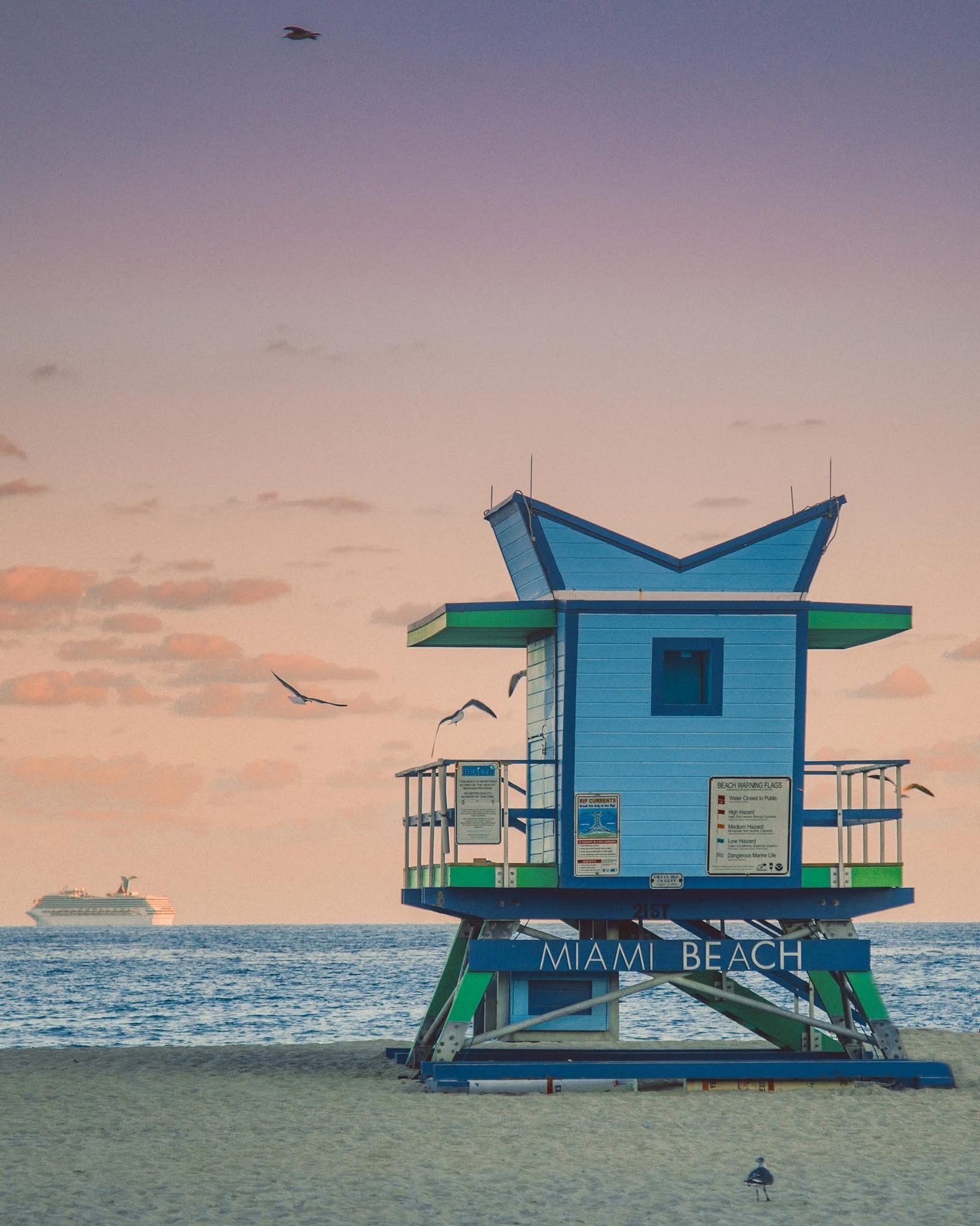 Why So Many People Are Choosing to Call Miami Home